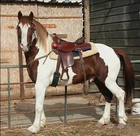 Texas 13 anni