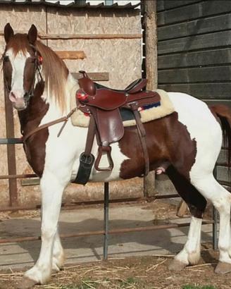 Texas 13 anni