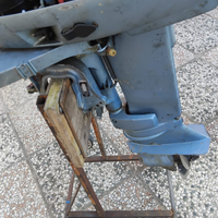 Evinrude motore 521