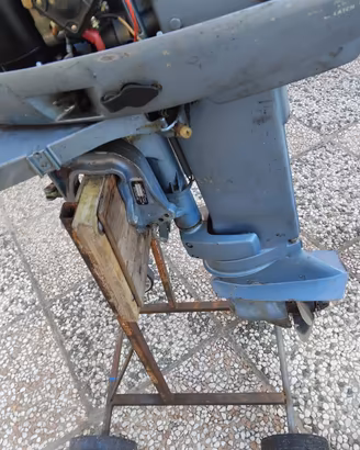 Evinrude motore 521