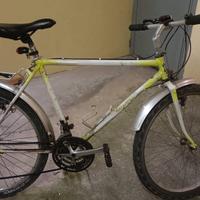 bicicletta  MTB 