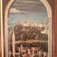 Libro IL BIELLESE storia dal medioevo all’800