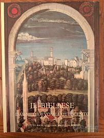 Libro IL BIELLESE storia dal medioevo all’800