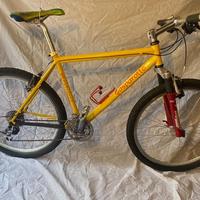 mountain bike