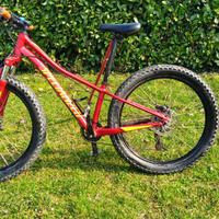 Specialized