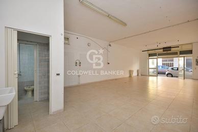 Laboratorio - Cavallino