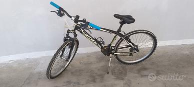 bicicletta 