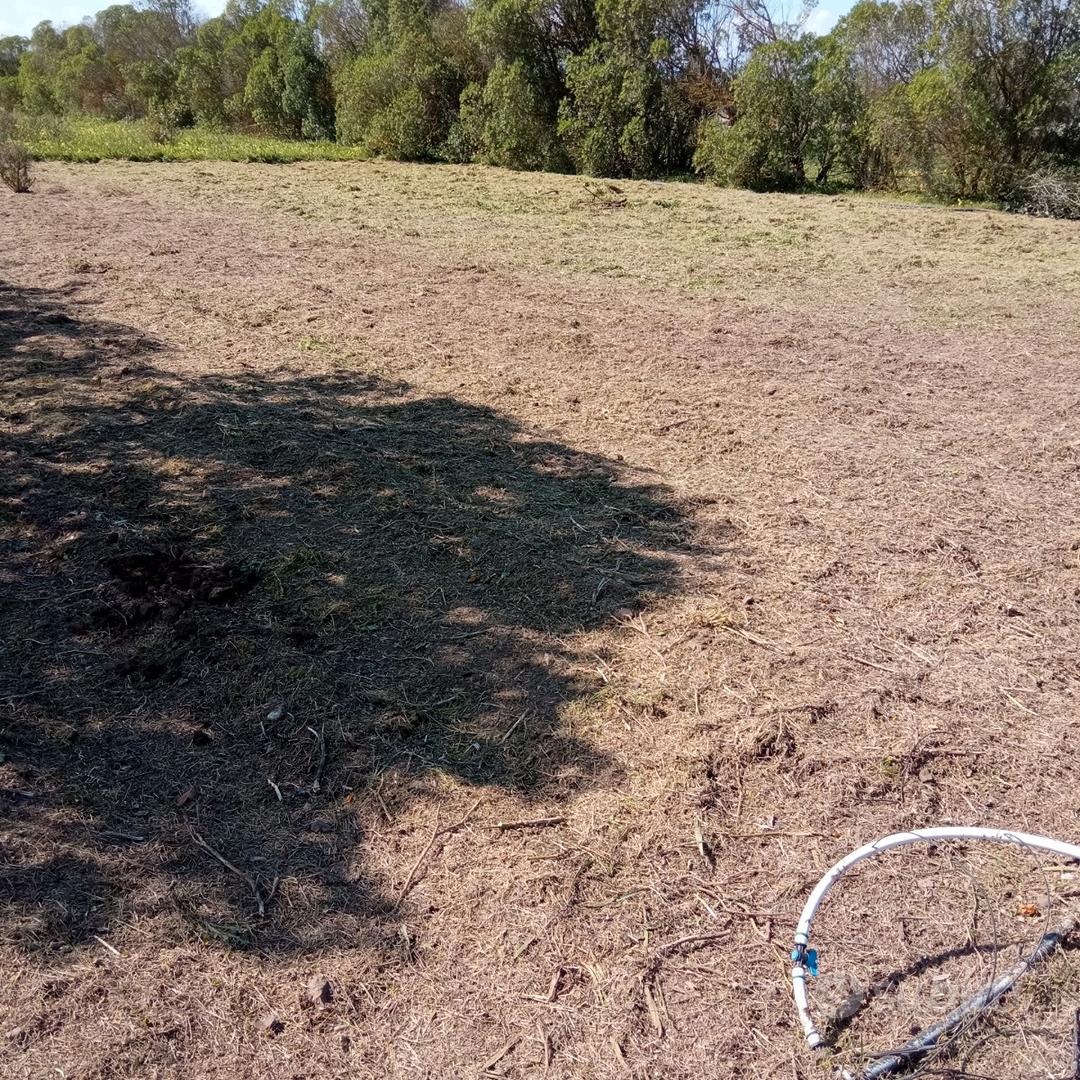 Terreno agricolo san sperate - Vista 5