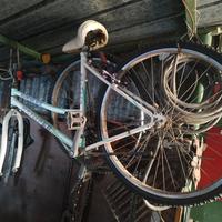 mountain bike da donna  ruote 26 pollici