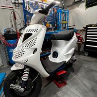 Zip Sp Polini big Evo