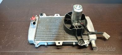 Radiatori Gilera Runner 180/Piaggio Hexagon 150