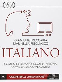 Italiano, come si è formato, come funziona
