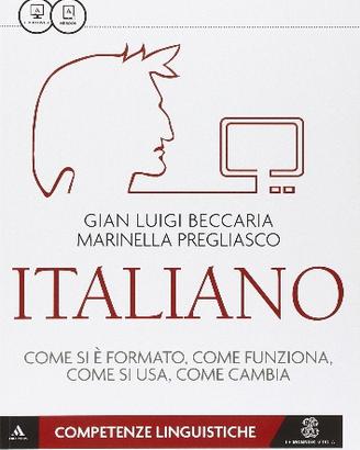 Italiano, come si è formato, come funziona