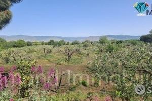 Terreno agricolo 3.200mq zona doc a castiglione