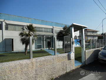 Capannone immediatamente disponibile