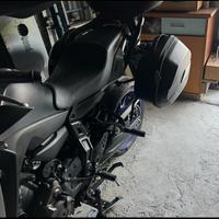 Borse laterali moto