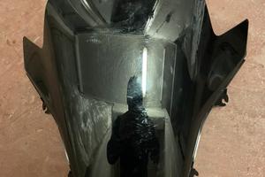 Cupolino x Honda pcx