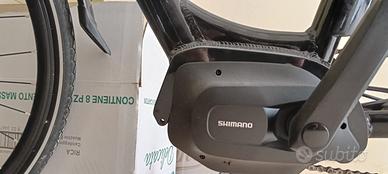 Bici elettrica da uomo