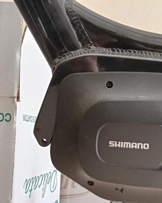 Bici elettrica da uomo