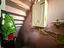 Immagine 14