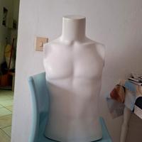 Manichino busto uomo