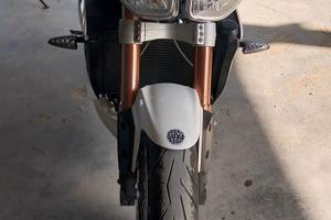 Speed Triple 1050 