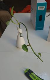 Photos con vaso 3D