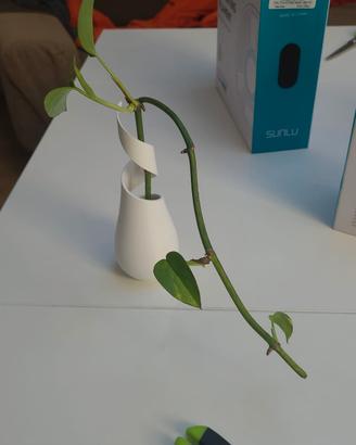 Photos con vaso 3D
