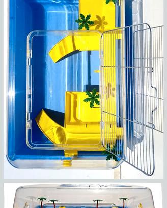 Acquario tartarughe d'acqua