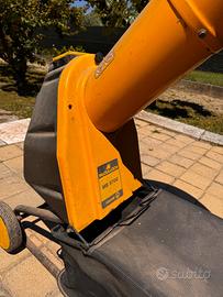 Bio trituratore 220v