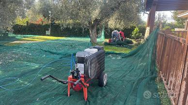 Compressore olive