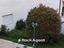 Immagine 26