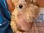 Immagine 4