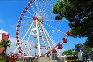 RIFERIMENTO FC90 - NUOVISSIMA GELATERIA SU VIA BA