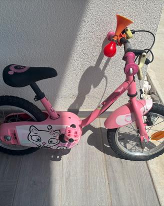 Bici e moto elettrica