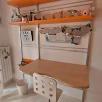 Scrivania/Libreria  Moretti Compact