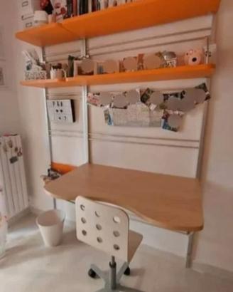 Scrivania/Libreria  Moretti Compact