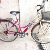 City bike donna 28 completa di portapacchi e cesti