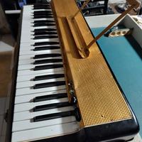 Organo Elettrico 220v