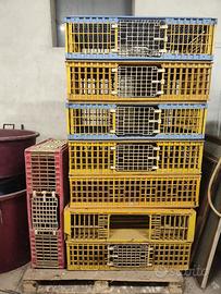 Gabbie trasporto polli e conigli