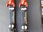 Immagine 6