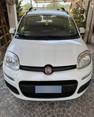 PANDA 1300 multijet diesel