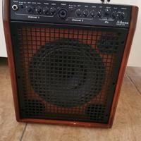 Athena Twin Channel Acoustic Amplifier