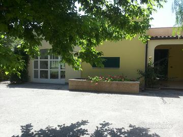 A pochi passi da Gallipoli fine agosto Ps 10