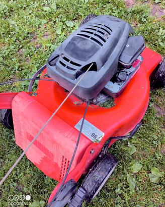 Tagliaerba Husqvarna e EFCO 