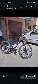 bici elettrica 
