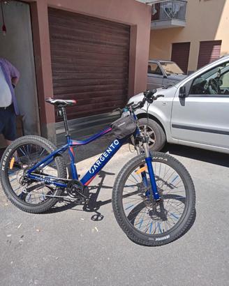 bici elettrica 