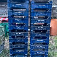 Cassette in plastica di varie dimensioni