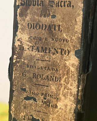 Antico Testamento-Giovanni Diodati 1819-Rolandi