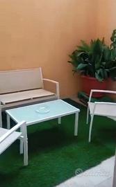 Salotto prato inglese Cycas